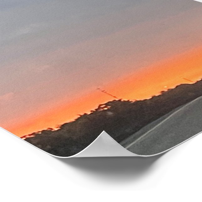 DOLPHIN POSTER (Ecke)