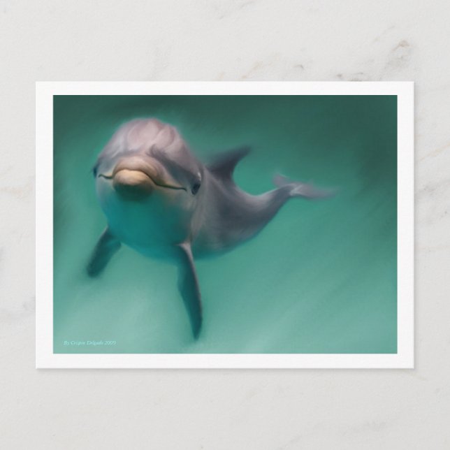 Dolphin Postkarte (Vorderseite)