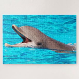Dolphin Puzzle
