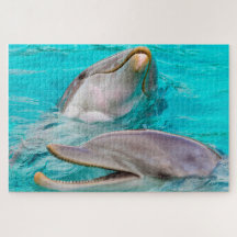 Dolphin