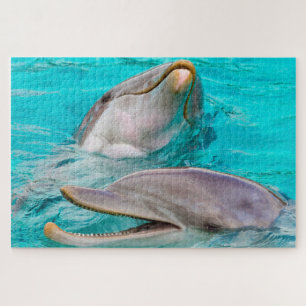 Dolphin Puzzle
