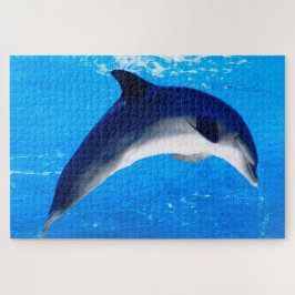 Dolphin Puzzle