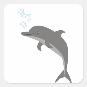 Dolphin Quadratischer Aufkleber