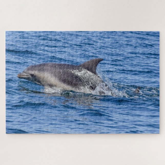 Dolphin-Rätsel Puzzle (Horizontal)