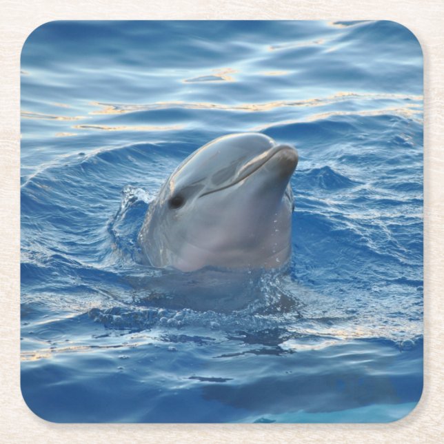 Dolphin Rechteckiger Pappuntersetzer (Vorderseite)