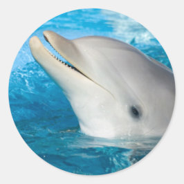 Dolphin Runder Aufkleber