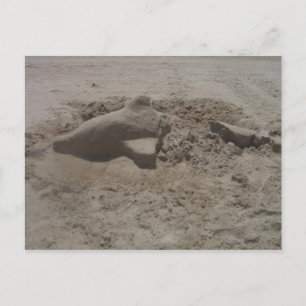 Dolphin Sandcastle Postcard Postkarte