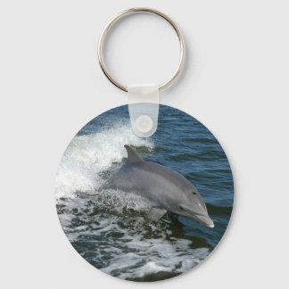 Dolphin Schlüsselanhänger