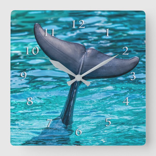DOLPHIN SCHWANZ FLUKE HOWDY! QUADRATISCHE WANDUHR (Vorderseite)