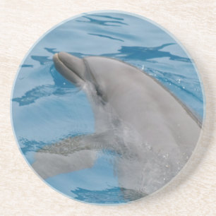 Dolphin-Schwimmen in den Tiefen des blauen Ozeans Getränkeuntersetzer