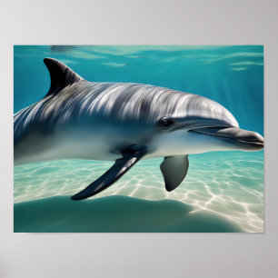 Dolphin Schwimmen Unterwasser Poster
