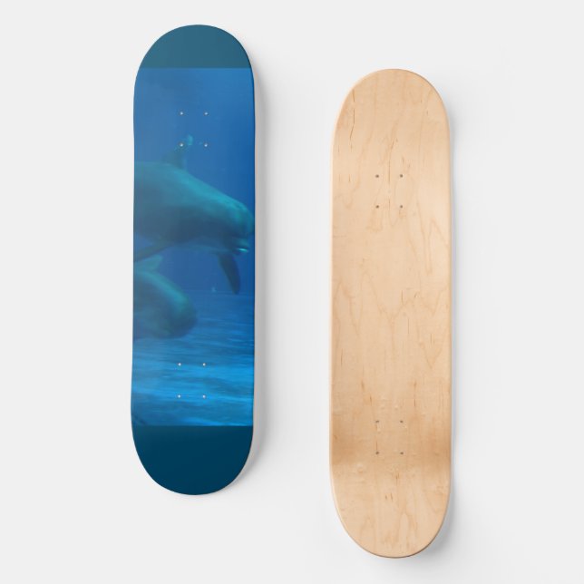 Dolphin Skateboard (Vorderseite)