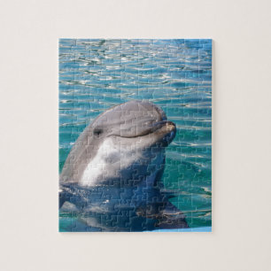 Dolphin Smile Puzzle