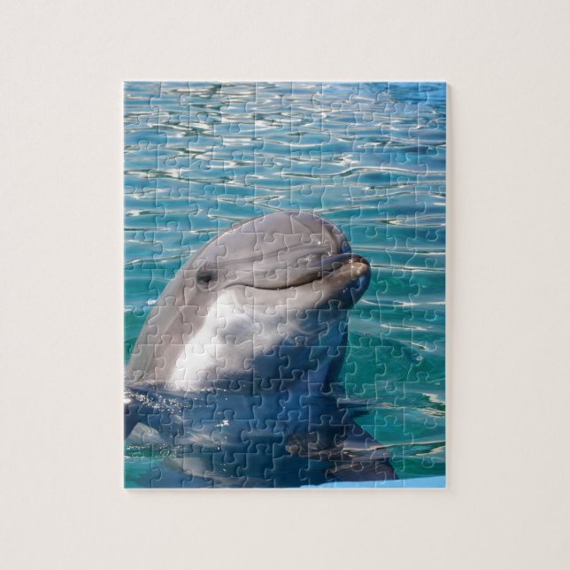Dolphin Smile Puzzle (Vertikal)