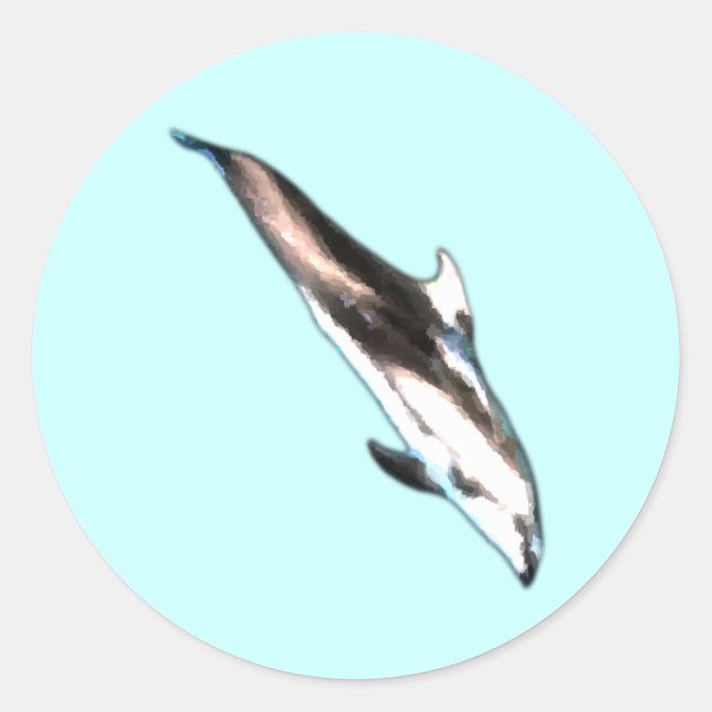 Dolphin Stickers (Vorderseite)