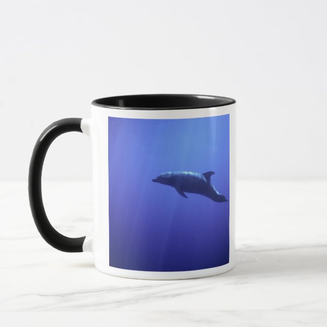 Dolphin Tasse (Links)