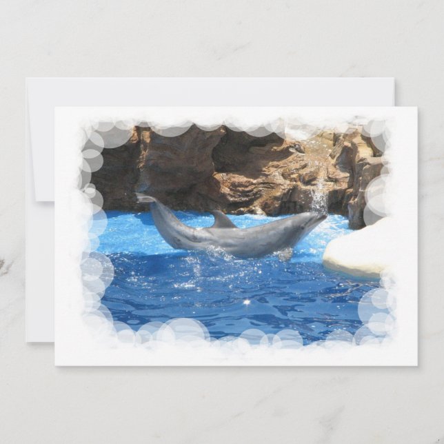 Dolphin Tricks Einladung (Vorderseite)