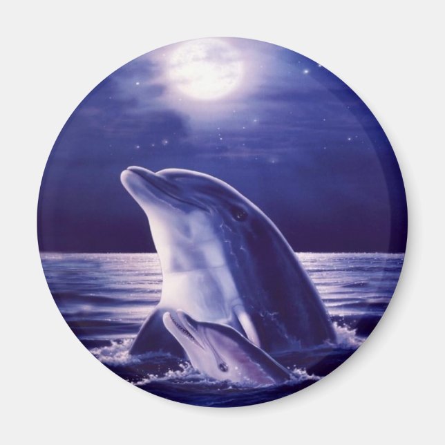 Dolphin und Baby Magnet (Vorne)