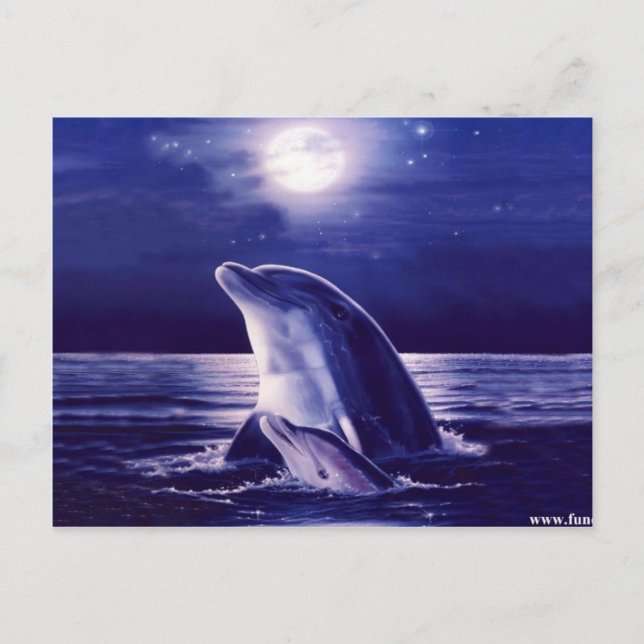 Dolphin und Baby Postkarte (Vorderseite)