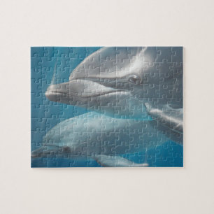 Dolphin und Baby Puzzle