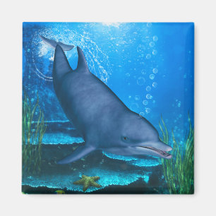 Dolphin Underwater Magnet