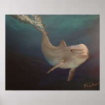 Dolphin unter Wasser