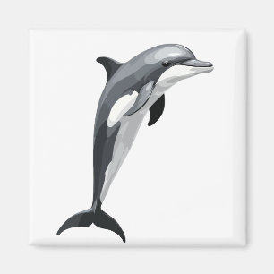 Dolphin Vector Kunstmuseum Schwarz-weiß Magnet