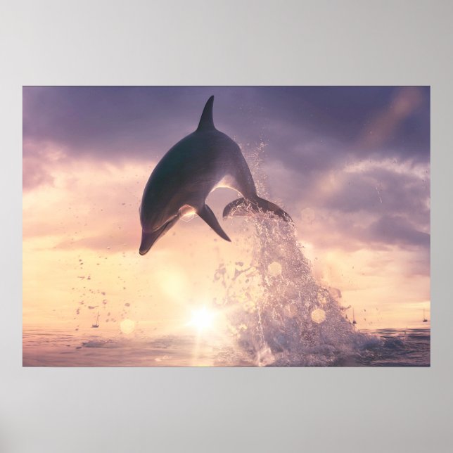 Dolphin-Wandkunst Poster (Vorne)