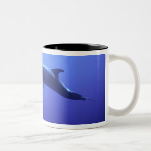 Dolphin Zweifarbige Tasse