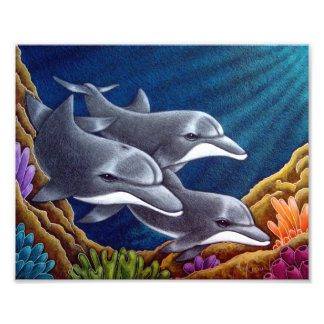 DOLPHINEN IN EINEM REEF 8" X 10" DRUCKEN FOTODRUCK