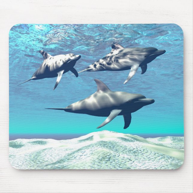 DOLPHINMOUSEPAD MOUSEPAD (Vorne)
