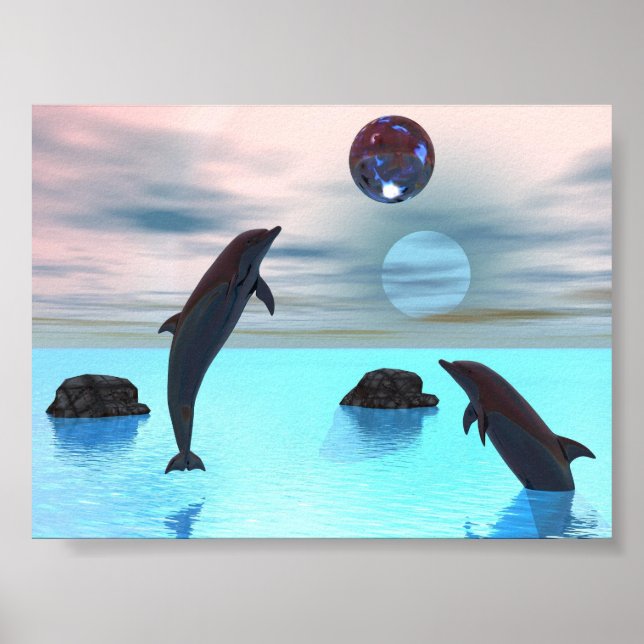 Dolphins Night Poster (Vorne)