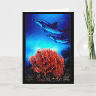 Dolphins over corals karte