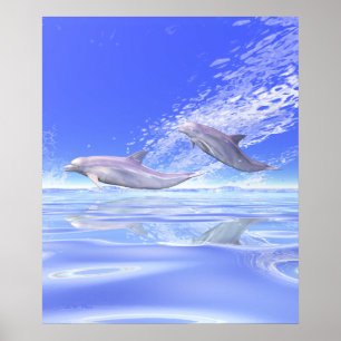 Dolphins Racing Poster