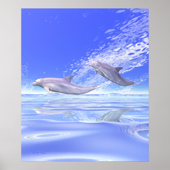 Dolphins Racing Poster (Vorne)