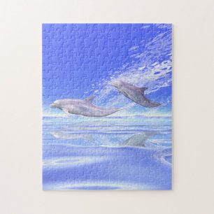 Dolphins Racing Puzzle
