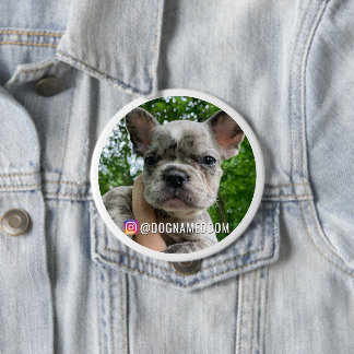 DOM THE DOG INSTAGRAM BUTTON