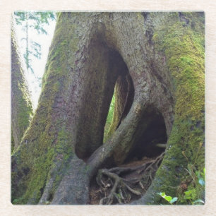 Dombaum, Astoria, Oregon Glasuntersetzer