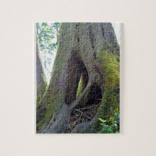 Dombaum, Astoria, Oregon Puzzle