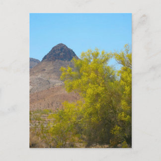 Dome Rock, Quartizsite, AZ Postkarte