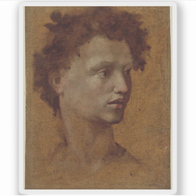 Domenico Beccafumi - Leiter einer Jugendorganisati Aufkleber (Vorderseite)