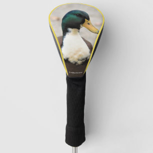 Domestic Mallard Duclair Bibbed Odd Duck Golf Headcover