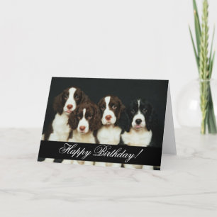 Domesticated Animals 252 Happy Birthday Karte