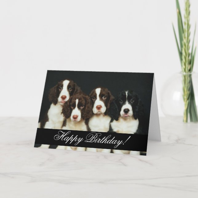 Domesticated Animals 252 Happy Birthday Karte (Vorderseite)