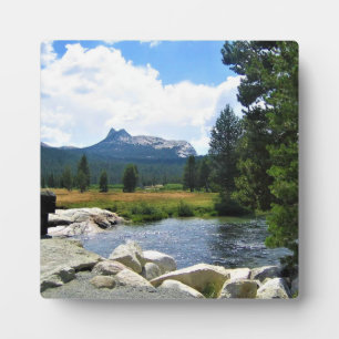 Domgipfel in Tuolumne Meadows, Yosemite, CA Fotoplatte