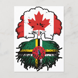 Dominica Dominican Canadian Canada Tree Roots Flag Postkarte