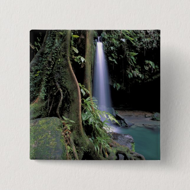 Dominica, Emerald Pool, Wasserfall. Button (Vorderseite)