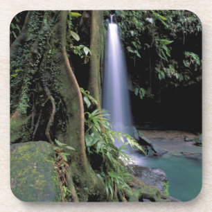 Dominica, Emerald Pool, Wasserfall. Getränkeuntersetzer