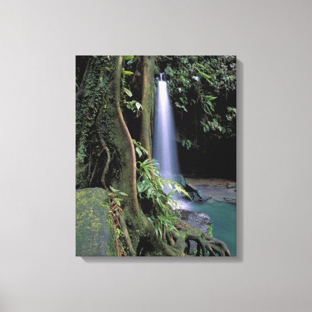 Dominica, Emerald Pool, Wasserfall. Leinwanddruck (Vorderseite)
