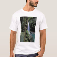 Dominica, Emerald Pool, Wasserfall.
